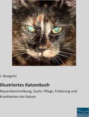 Produktbild von Illustriertes Katzenbuch