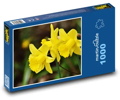 Produktbild von Puzzle 1000 Gelbe Frühlingsnarzissen - martinpuzzle