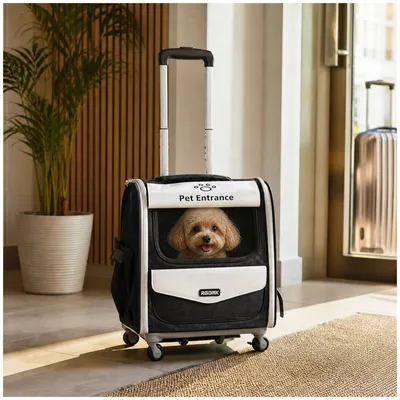 Produktbild von Haustier Transporttasche Trolley Rucksack Hund Katze