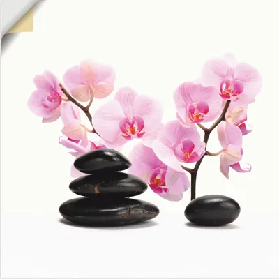 Produktbild von ARTland Wandbild, selbstklebend Schwarze Steine und pinke Orchidee Größe: 40x40 cm