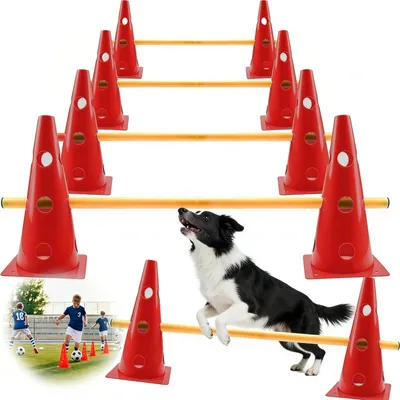Agility-Set für Hunde & Kinder, 5 Stangen 80 cm, Höhe 23 cm