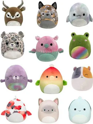 Produktbild von Squishmallows Plüschtier, zufällige Auswahl, 19 cm Mehrfarbig