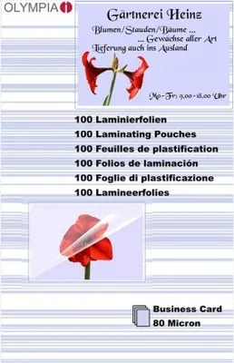 Immagine prodotto di OLYMPIA - 100 pezzi di nastro laminato