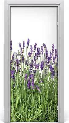 Produktbild von Tulup Türaufkleber 85x205 cm Dekorative Aufkleber Selbstklebend Wasserdichte Tapete Abnehmbar Schlafzimmer Wohnzimmer Wohnkultur - Lavendelfeld
