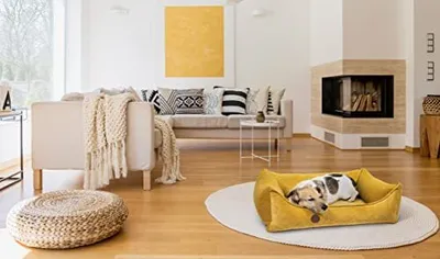 Produktbild von orthopädisches Hundebett Lounge XL - Grau
