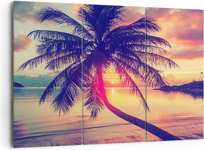 Produktbild von Bild auf Leinwand - Leinwandbild - Meer Strand Palme - 165x110cm - Wand Bild - Wanddeko - Leinwanddruck - Bilder - Kunstdruck - Wanddekoration - Leinwand bilder - Wandkunst - CE165x110-3925