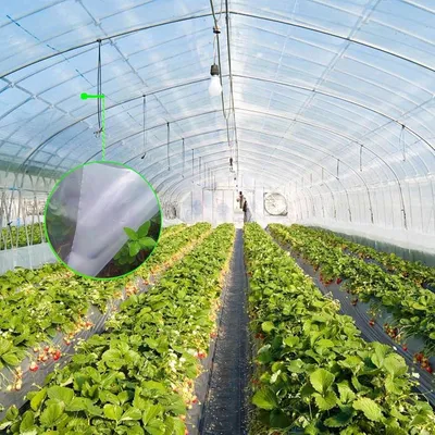 Gewächshausfolie transparent 2 x 6 m, 0,4 mm stark, reißfeste PE-Folie