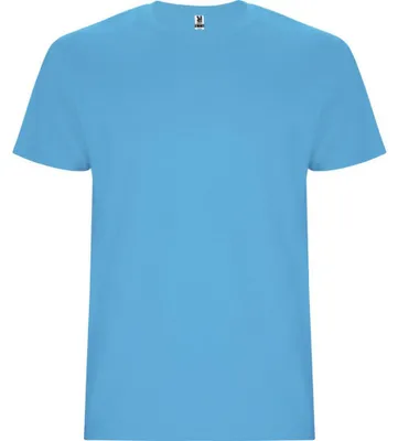 Imagen del producto de Roly - Camiseta "Stafford" para niños, modelo LT5595 (talla 104) (turquesa)