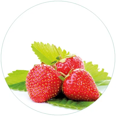 Produktbild von Wallario Premium Glasbild, freischwebende Optik, kräftige Farben, rund 50cm Durchmesser, Motiv Frische rote Erdbeeren für die Küche