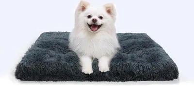 Produktbild von Famanu Hundebett Dunkelgrau Waschbar - 75 x 50 x 8 cm