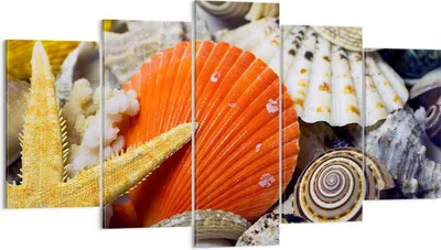 Produktbild von Bild auf Leinwand - Leinwandbild - Seashell Meer Strand Sand - 160x85cm - Wand Bild - Wanddeko - Leinwanddruck - Bilder - Kunstdruck - Wanddekoration - Leinwand bilder - Wandkunst - EA160x85-0456