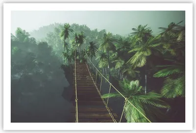 Produktbild von Poster - Poster ohne Rahmen - Dschungel Palme Brücke - 91,5x61 cm - Wand Bild - Wanddeko - Wandbilder - Kunstposter - Wandposter - Bilder - Kunstdruck - Wanddekoration - Wandbild - P2XAA91x61-3674