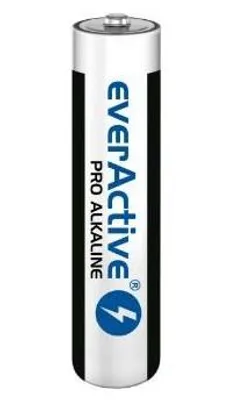 A single AA/LR6 alkaline battery from EverActive, presented upright against a white background.