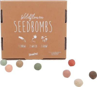 Produktbild von Blumen Samenbomben - Seedbomb
