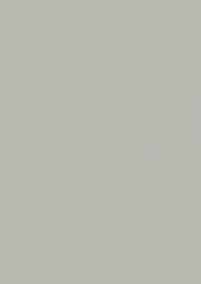 Produktbild von Universalpapier A4 80g VE=5x50 Blatt grau