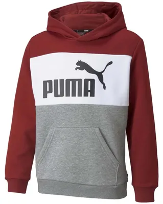 Obrázek produktu pro Mikina Puma 846128-22 pro Pánské