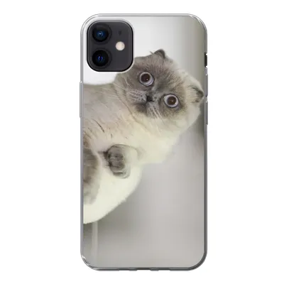 Produktbild von MuchoWow® Handyhülle Schutzhülle Hülle für iPhone 12 mini Katze - Tier - Wohnzimmer Silikon Softcase Handy Hülle - Bild