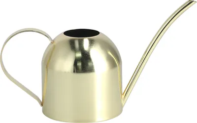 Produktbild von 1000ML Gießkanne Indoor Vintage Edelstahl Sukkulenten Blumen Pflanzen Bewässerung Wasserkocher Topf Gold