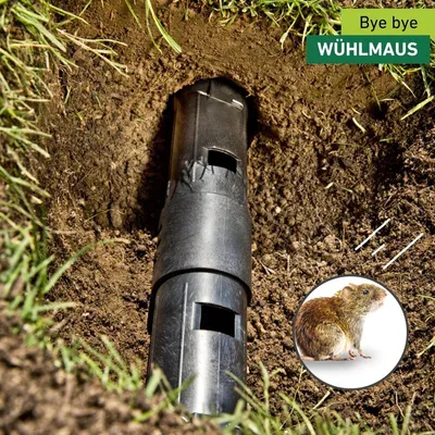 Produktbild von Windhager Wühlmausfalle TUBE Lebendfang für Wühlmäuse und Maulwürfe, mehrfach verwendbar