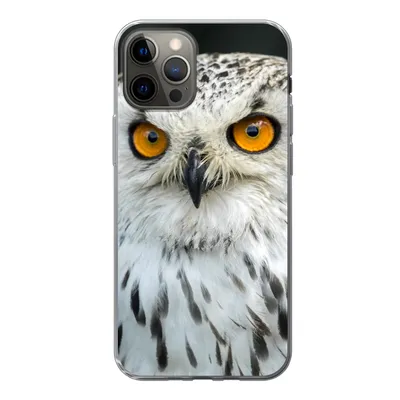 Produktbild von MuchoWow® Handyhülle Schutzhülle Hülle für iPhone 12 Pro Eine braune Eule mit orangefarbenen Augen Silikon Softcase Handy Hülle - Abdeckung
