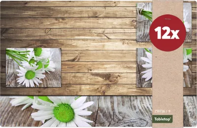 Produktbild von Tischset Margeriten.Blumen Tischunterlage Tischdeko