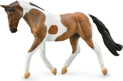 Image de COLLECTA Pinto Mare Châtaigne - (XL)