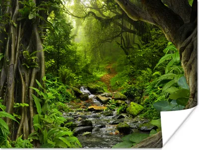 Produktbild von MuchoWow® Poster Natur - Wasser - Dschungel - Wald - Tropisch 120x90 cm - Wandbild
