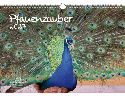 Produktbild von Pfauenzauber DIN A3 Kalender für 2027 Vogel - Seelenzauber