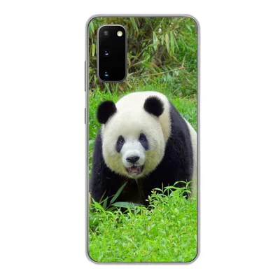 Produktbild von MuchoWow® Handyhülle Schutzhülle Hülle für Samsung Galaxy S20 Panda - Gras - Tier Silikon Softcase Handy Hülle - Bild