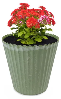 Image de Pot de fleurs vert cannelé comme pot de plantes d'extérieur rond 13 cm