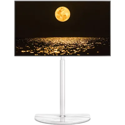Produktbild von RFIVER TV-Bodenständer für 32-65 Zoll Fernseher mit ± 25 Grad schwenkbar, höhenverstellbarer Eck-TV-Ständer bis zu 40 kg