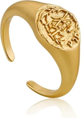 Productafbeelding van Ania Haie R009-03G, damesmodel, sterling zilver, verstelbare maat