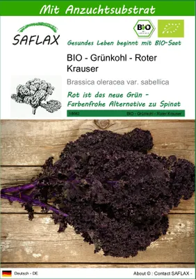Produktbild von SAFLAX - BIO - Grünkohl - Roter Krauser - 50 Samen - Mit keimfreiem Anzuchtsubstrat - Brassica oleracea