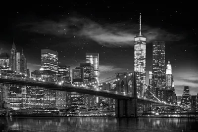 Produktbild von New York - Poster - Freedom Tower B&W