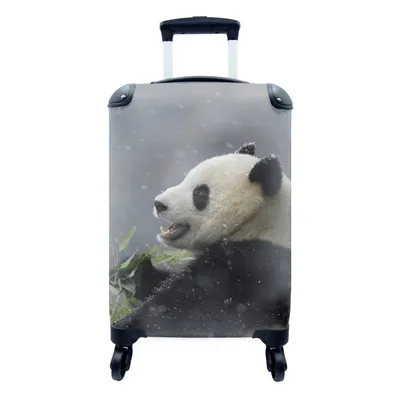 Produktbild von MuchoWow® Koffer Handgepäck Trolley Rollkoffer Kleine Reisekoffer mit 4 Rollen - Panda - Schnee - Winter - Cabin Size < 55x40x23 cm & 55x40x20 cm - Fotokoffer - Kabinenkoffer - Boardgepäck - Reise-Box - Reisekoffer - Reisegepäck - Koffer mit Bild - Trolley für Kinder