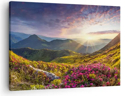 Produktbild von Bild auf Leinwand - Leinwandbild - Gebirge Wiese Landschaft Wald - 70x50cm - Wand Bild - Wanddeko - Leinwanddruck - Bilder - Kunstdruck - Wanddekoration - Leinwand bilder - Wandkunst - AA70x50-3152