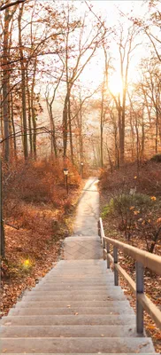 Produktbild von Türtapete Türposter Weg in den Sonnenuntergang - Größe: 93 x 205 cm