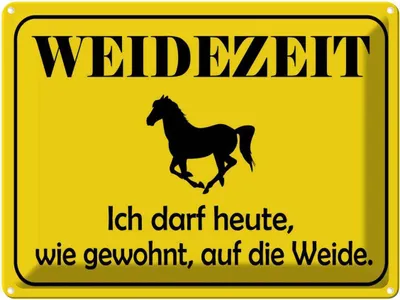 Produktbild von vianmo Blechschild 30x40 cm Weidenzeit Pferd Warnschild Hinweisschild Sicherheit Vorsicht
