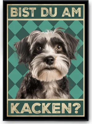 Produktbild von Havaneser - Bist du am Kacken? Hunde Poster Badezimmer Gästebad Wandbild Klo Toilette Dekoration Lustiges Gäste-WC Bild DIN A4 – DIN A4 mit Rahmen | Schwarz