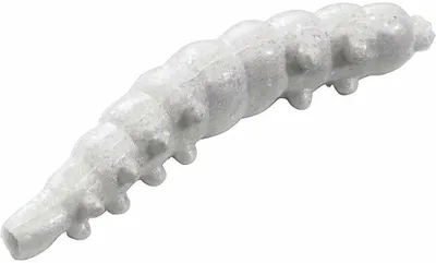 A white, segmented, worm-like object against a white background.