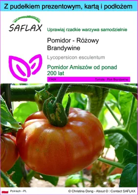 Zdjęcie produktu dla SAFLAX - Zestaw prezentowy - Pomidor - Różowy Brandywine - 10 Nasiona - Z pudełkiem upominkowym, etykietą wysyłkową, kartą podarunkową i podłożem uprawowym - Lycopersicon esculentum