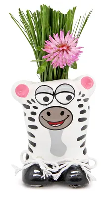 Artikelbild 2 von 'Anzuchtset Munakuppi Zebra' aus der Kategorie Munakuppi, KI-generiertes Bild