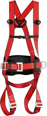 Immagine prodotto di Climax 10 Maxipro, Cintura Di Sicurezza A 2 Punti, Ce