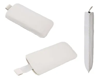 Produktbild von caseroxx Slide-Etui für Swisstone SC560, Tasche für optimalen Schutz