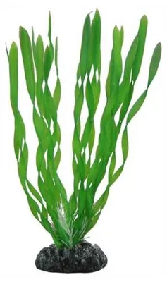 Productafbeelding van Hobby Plant Vallisneria 46CM