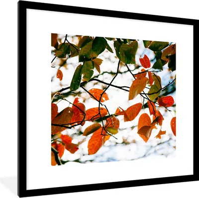 Produktbild von MuchoWow® Gerahmtes Poster Herbst - Blätter - Landleben - Jahreszeiten 40x40 cm - Poster mit Schwarzem Bilderrahmen Wandposter Rahmen Foto Bilder - Poster - Plakat im Rahmen