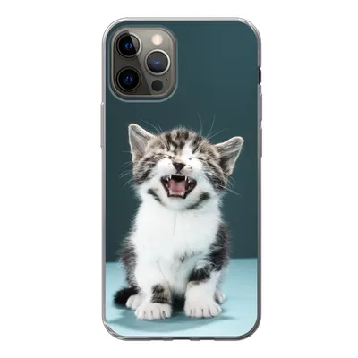Produktbild von MuchoWow® Handyhülle Schutzhülle Hülle für iPhone 12 Pro Katze - Kätzchen - Miau Silikon Softcase Handy Hülle - Abdeckung