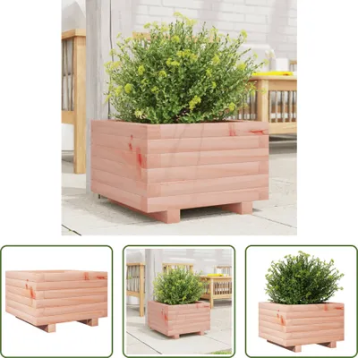 Immagine prodotto di The Living Store Fioriera 40x40x26,5 cm in legno massiccio di abete Douglas