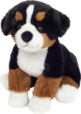A stuffed Bernese Mountain Dog puppy sitting on a white background.