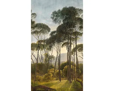 Produktbild von Fototapete Vlies A46301 Natur Bäume 3-tlg. 159 x 280 cm